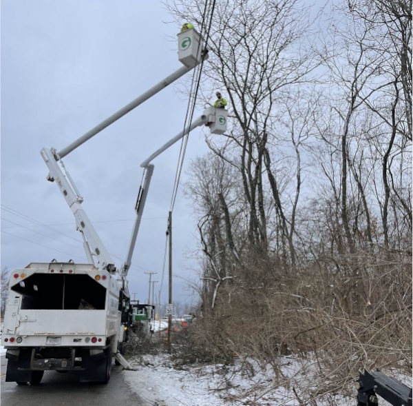 Gerrein Green Tree Removal Service