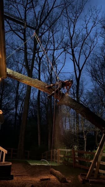 Gerrein Green Tree Removal Service