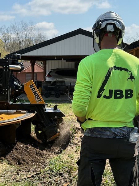 Gerrein Green Tree Removal Service