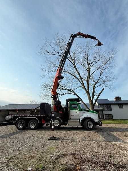 Gerrein Green Tree Removal Service