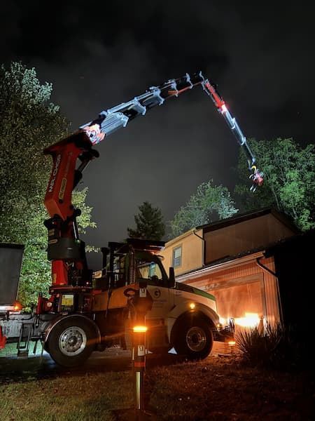 Gerrein Green Tree Removal Service