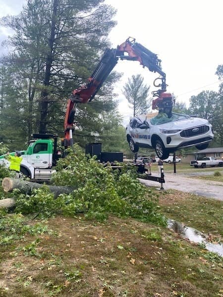 Gerrein Green Tree Removal Service