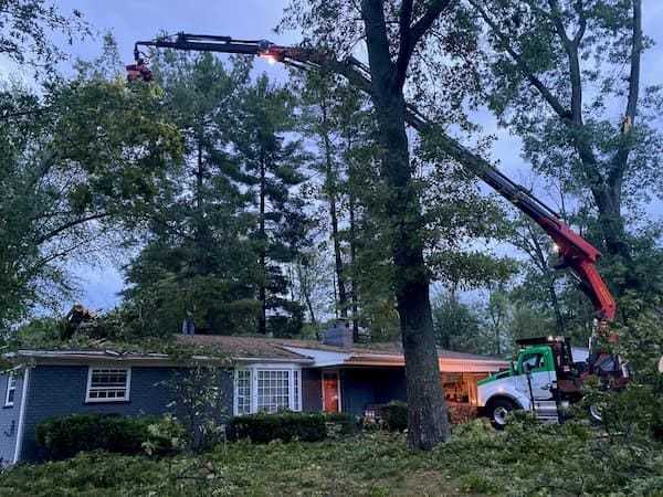 Gerrein Green Tree Removal Service