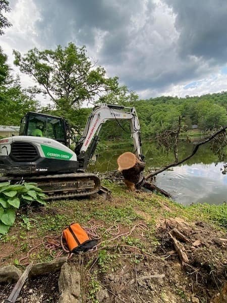 Gerrein Green Tree Removal Service