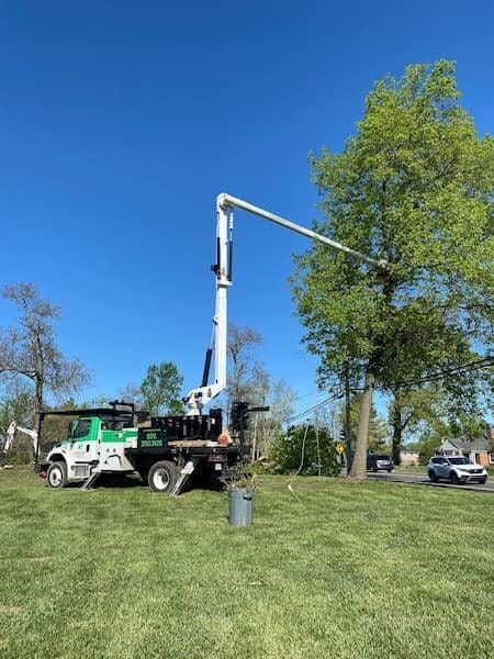 Gerrein Green Tree Removal Service