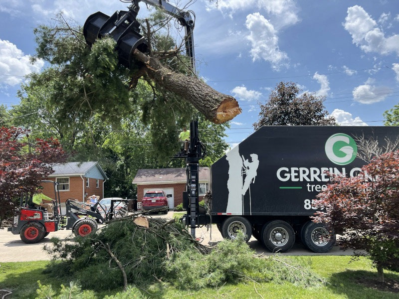 Gerrein Green Tree Removal Service