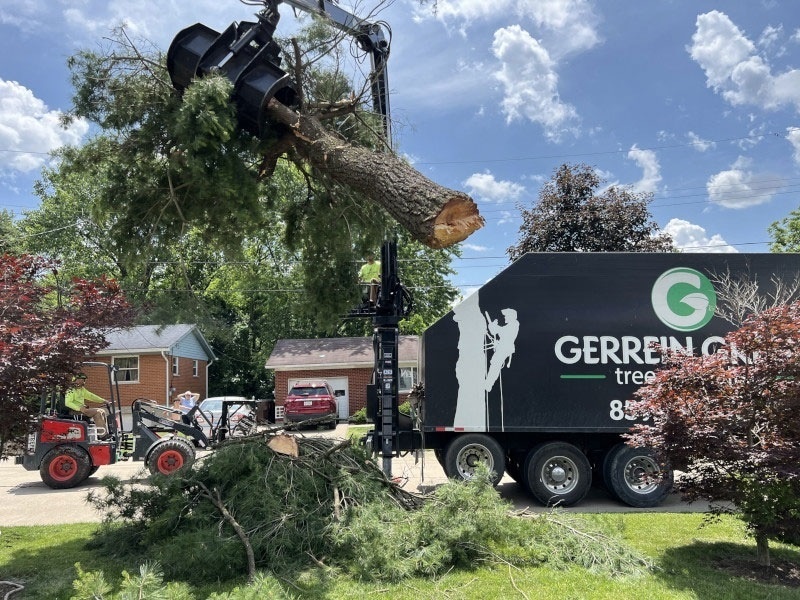 tree-removal2.jpg-nggid017-ngg0dyn-800x600-00f0w010c010r110f110r010t010