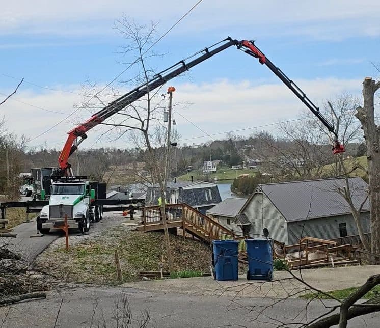 Robotic tree removal