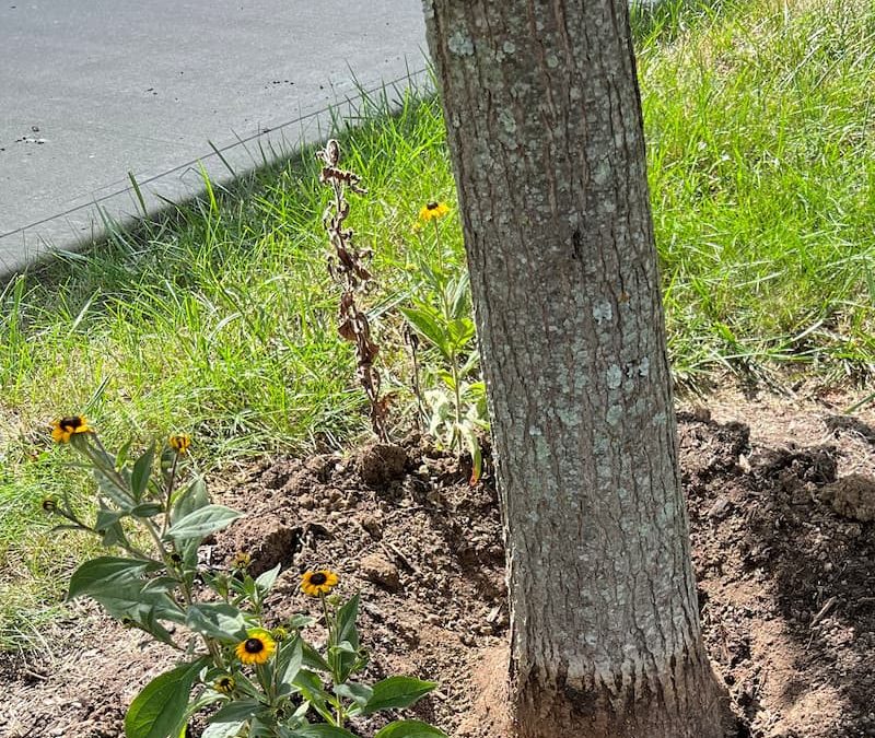 April showers…and mulch volcanoes?