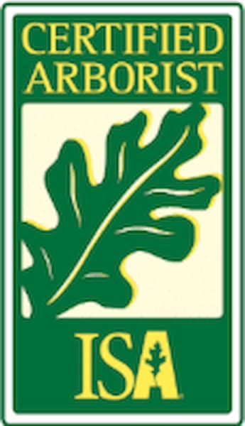 Master Arborist Logo