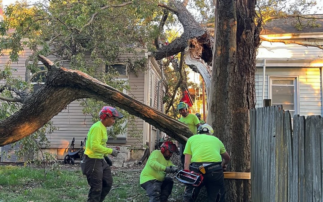 Emergency Tree Removal After Storm | Gerrein Green